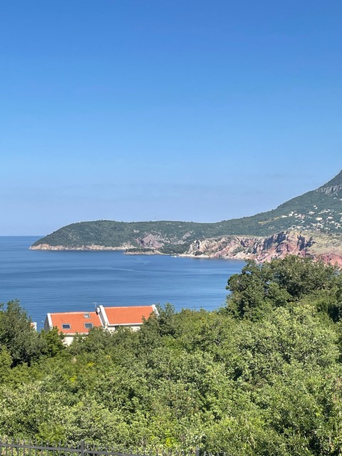 view from the terrace